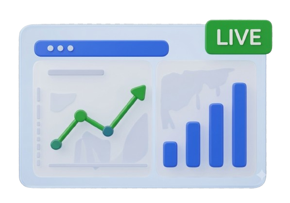 Monitor Progress in Real Time